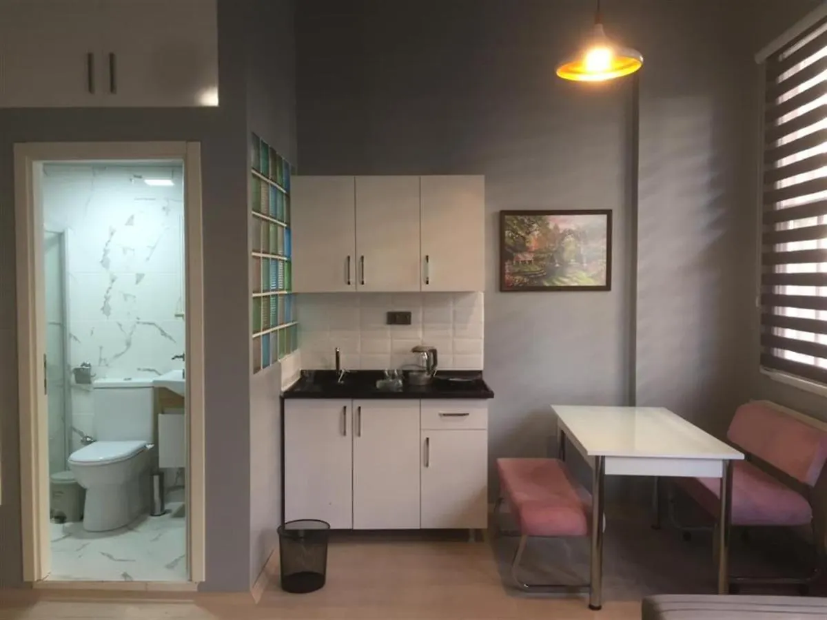 Duru Niss Aparts Nishantashi Apartment Istanbul Turkey